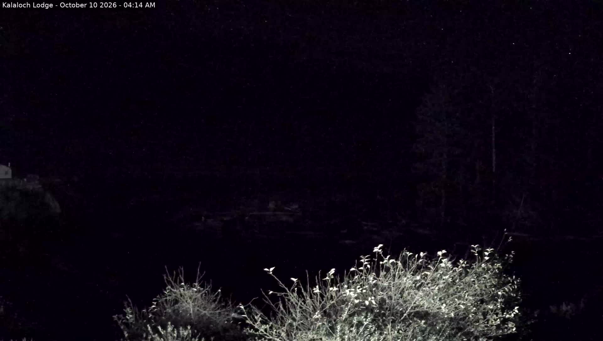 Kalaloch Beach Still Camera: Kalaloch Beach Still webcam at Olympic National Park, United States. Use this view for water, shoreline, and local conditions. Current Kalaloch...