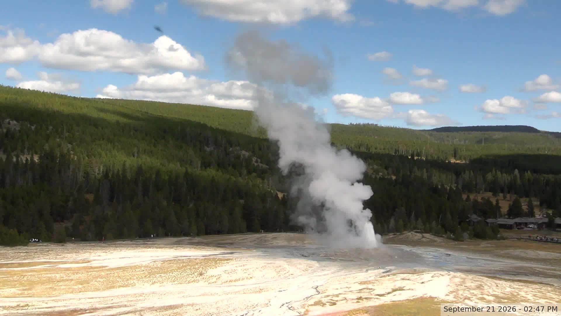 Old Faithful Webcam