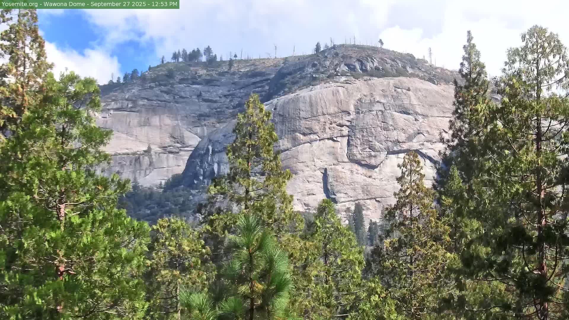 Live view of Wawona Dome in Yosemite at The Redwoods In Yosemite